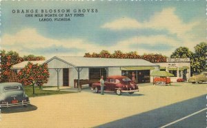 Postcard Florida Largo Orange Blossom Groves autos Teich linen 23-4549