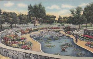 New Mexico Roswell Sunken Garden Cahoon Park Curteich