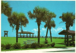 Postcard Hutchinson Island A Beautiful Spacious Public Park Along The Island FL