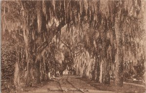 Bonaventure Savannah GA Georgia Trees Unused Postcard H13 