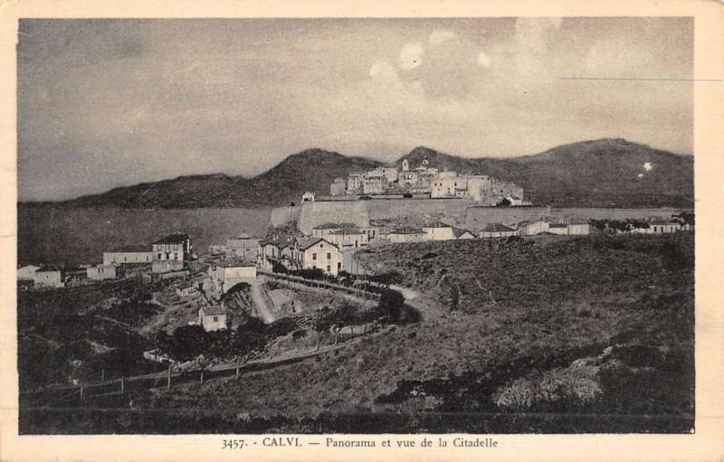 Calvi France Birdseye View Of City Antique Postcard K51151