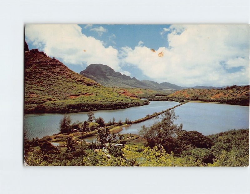 Postcard Menehune Fish Pond, Kauai, Hawaii
