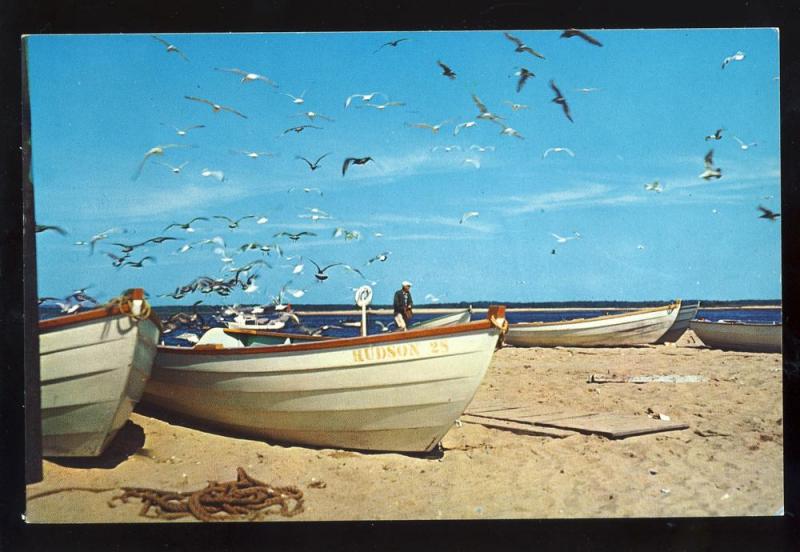 New England Coast (?) Postcard,Hudson Fishing Boat/Sea Gulls