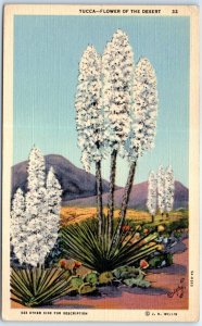 Postcard - Yucca-Flower Of The Desert - the Southwest