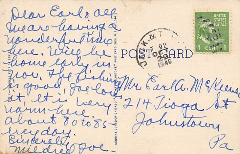 Box of Oranges Florida, USA Fruit Assorted 1946 