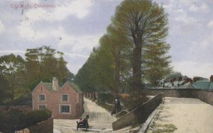 Sussex Postcard - City Walls, Chichester  RS21440