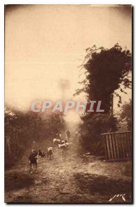 Old Postcard All France Limousin Landscapes at Paysane