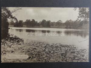 Essex GOSFIELD The Lake - Old Postcard by S.T. Coppock, The Stores