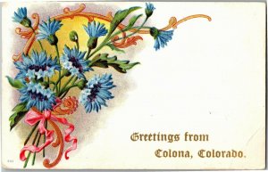 Floral Bouquet, Greetings from Colona CO Embossed Vintage Postcard C66