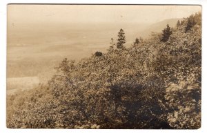 Real Photo, Forest Scene, Made in Canada