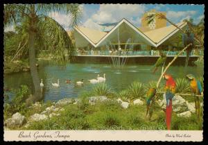 Busch Gardens, Tampa