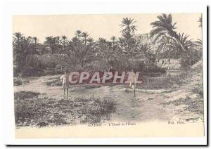 Tunisia Gabes Old Postcard L & # & # 39oued and 39oasis