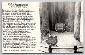 The Redwoods Joseph Strauss Poem California RPPC Real Photo Postcard M26