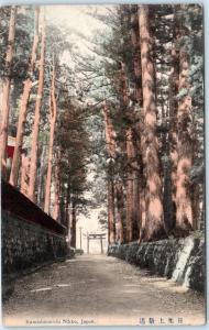 NIKKO, JAPAN   Handcolored  KAMISHINMICHI  Road Street  ca 1910s   Postcard