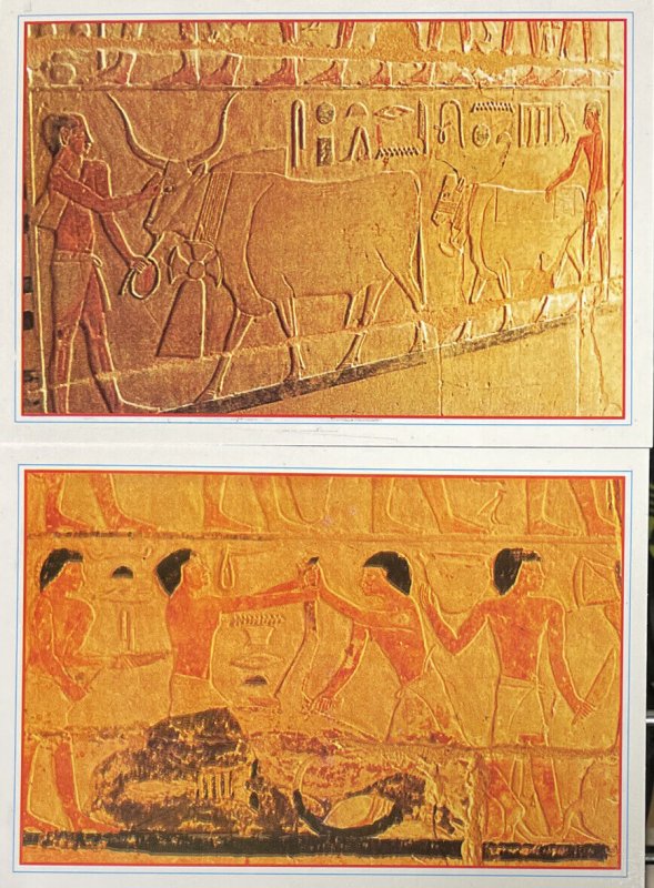 Best Wishes Egypt Landmark El-Brince Cards Postcard Set 9 Postcards