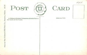 Chinese Farmer's Banana Plantation Panama Unused 