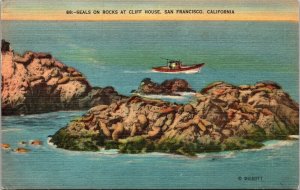 Seals Rocks Cliff House San Francisco California CA Linen Postcard PM Cancel 