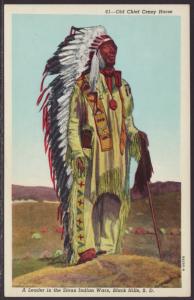 Old Chief Crazy Horse Postcard