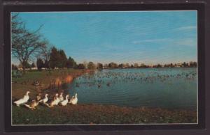 Sunset at Dogwood Lake,Fort Dix,NJ Postcard 