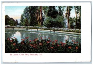 In Canon Crest Park Lake Flowers Scene Redlands California CA Vintage Postcard 