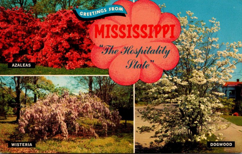 Greetings From Mississippi Showing Azaleas Wisteria and Dogwood In Bloom