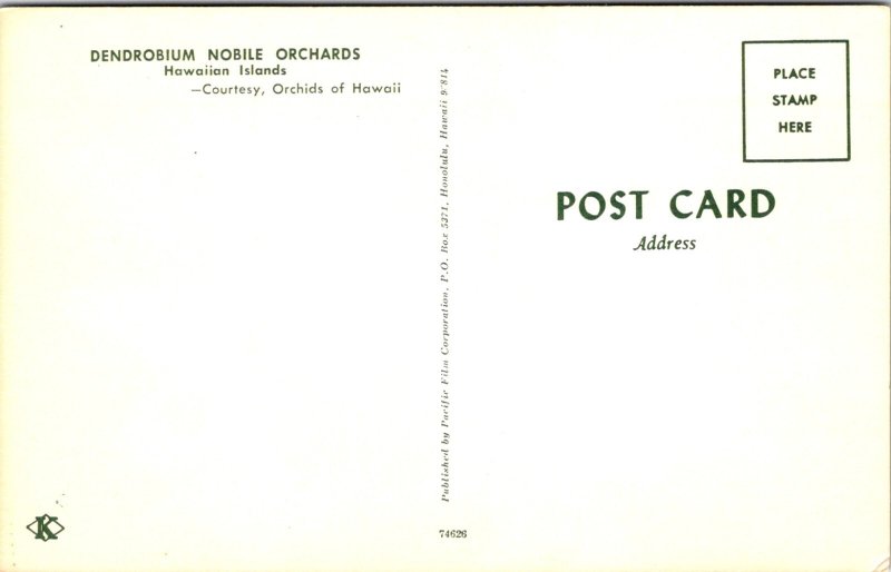 Vintage Vintage Postcard Orchids Dendrobium Noble Hawaiian Islands Honolulu HI