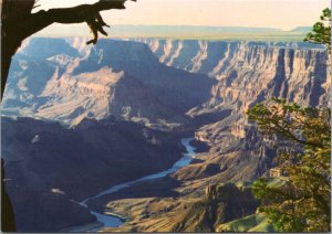 Postcard AZ - Grand Canyon - Colorado River