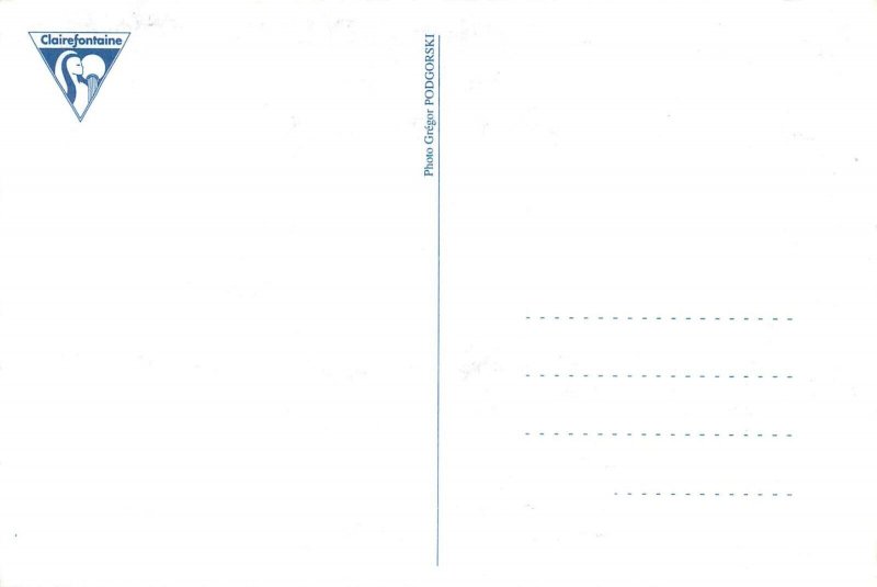 Animals postcard ape monkey