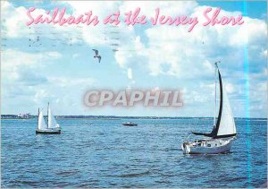 Modern Postcard Sailboats at the Jersey Shorre