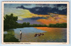 Carabaos taking Evening Swim PHILIPPINES Linen 1960 Postcard