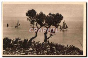 Old Postcard Brittany Douarnenez (Finistere) Output tuna vessels