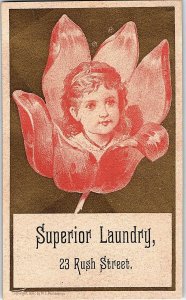 1882 Lot of 3 Superior Laundry Lovely Kids Flower Heads Victorian Cards P134 