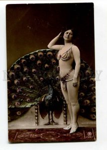 3031612 Lovely BELLY DANCER & Peacock Vintage PHOTO tinted PC