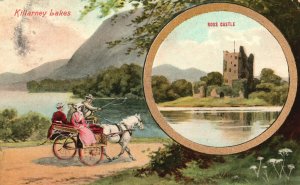 Vintage Postcard 1909 View of Ross Castle Carriage Killarney Lakes Ireland