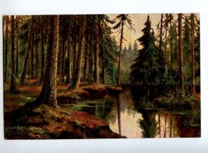 224504 RUSSIA K. KLEVER Forest swamp Granberg #552 postcard