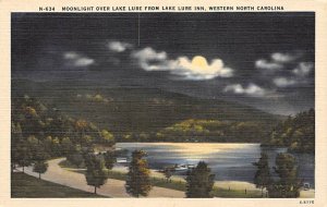 Lake Lure from Lake Lure Inn Western North Carolina, North Carolina NC Postcard