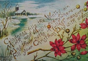 Christmas Postcard G K Prince 530 Winter Flowers MMS Pittsburgh 1913