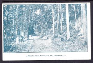 A Wooded Drive,Ethan Allen Park,Burlington,VT