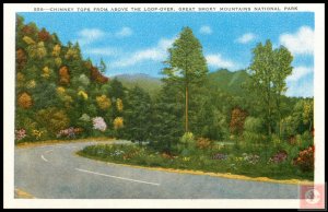 Chmny Tops from Above the Loop-Over, Great Smoky Mountains National Park