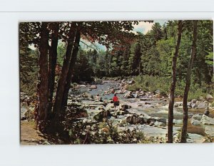 Postcard The Rock Gorge scenic area on the Kancamagus Highway, New Hampshire