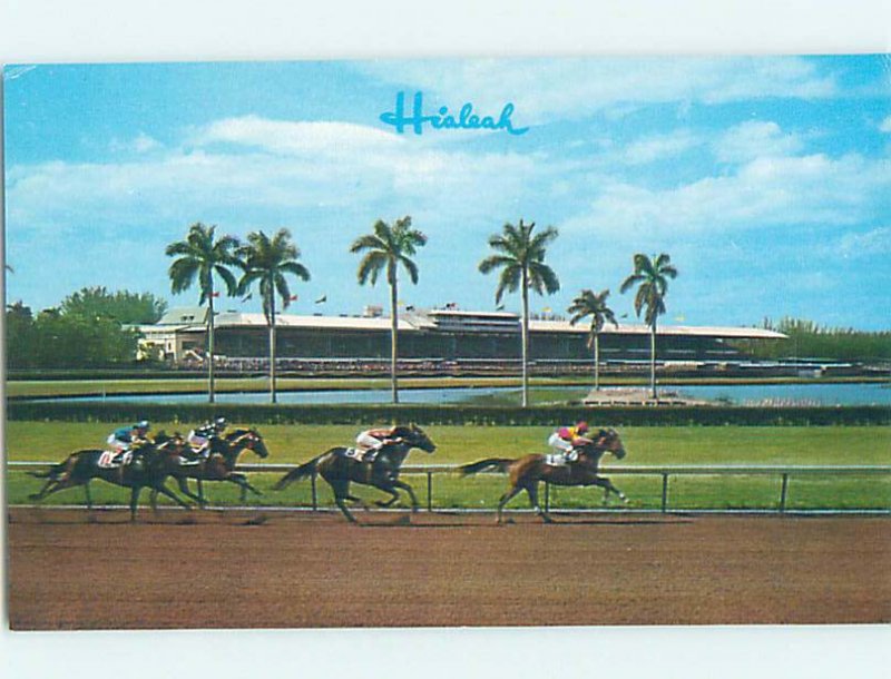 Chrome HORSE RACING SCENE Hialeah - Near Miami Beach Florida FL AG5418@