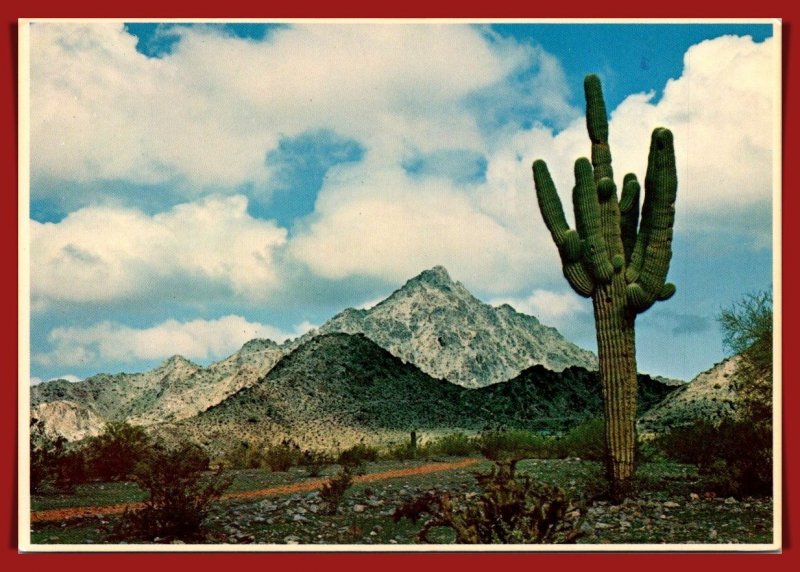 Arizona, Phoenix - Squaw Peak - [AZ-399X]