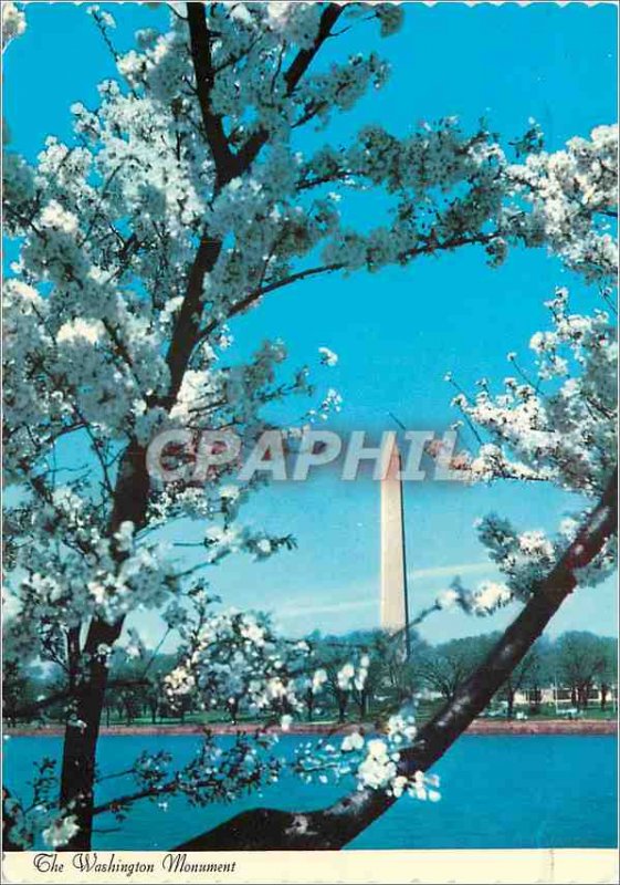 Modern Postcard The Washington Monument