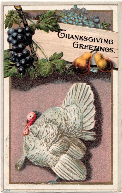 1912 THANKSGIVING Postcard WHITE TURKEY Gobbler Greetings T10