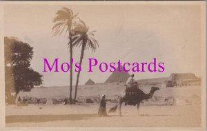 Egypt Postcard - The Pyramids and Camel Rider  HM372