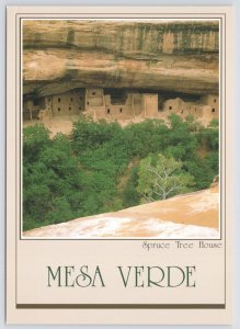 State View~Mesa Verde National Park CO~Spruce Tree House~Continental Postcard