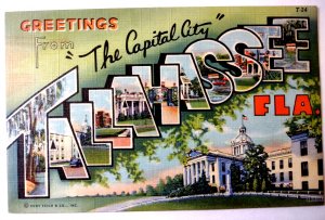 Greetings From Tallahassee Florida Large Big Letter Linen Postcard Capital City