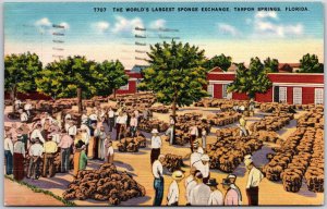 1944 The World's Largest Sponge Exchange Tarpon Springs Florida Posted Postcard