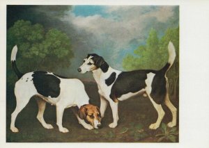 Art Postcard - George Stubbs - A Hound and Bitch in a Landscape - Dogs  RR9594