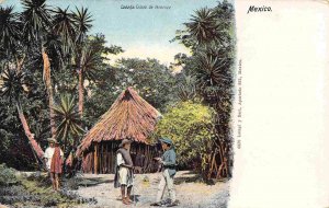 Cabana Peasant Home Veracruz State Mexico 1910c postcard